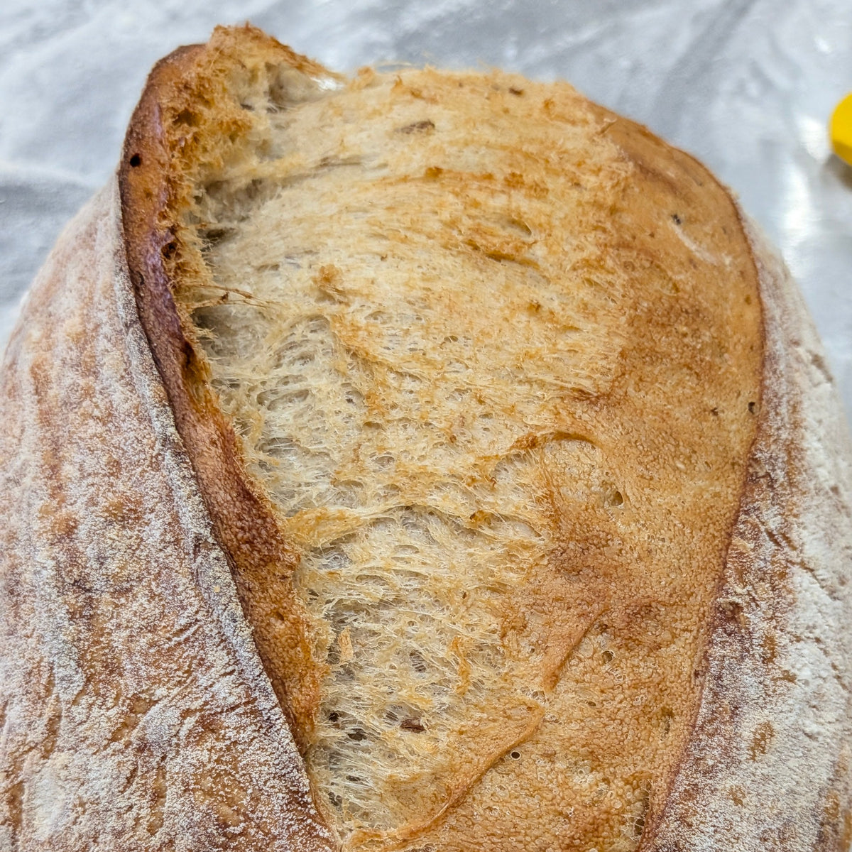 Sourdough for beginners