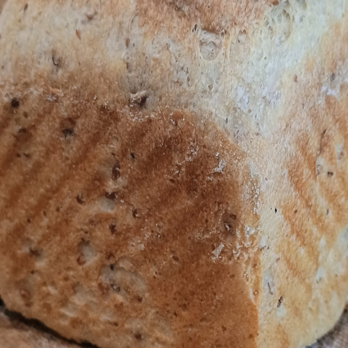 Sourdough bread for beginners.