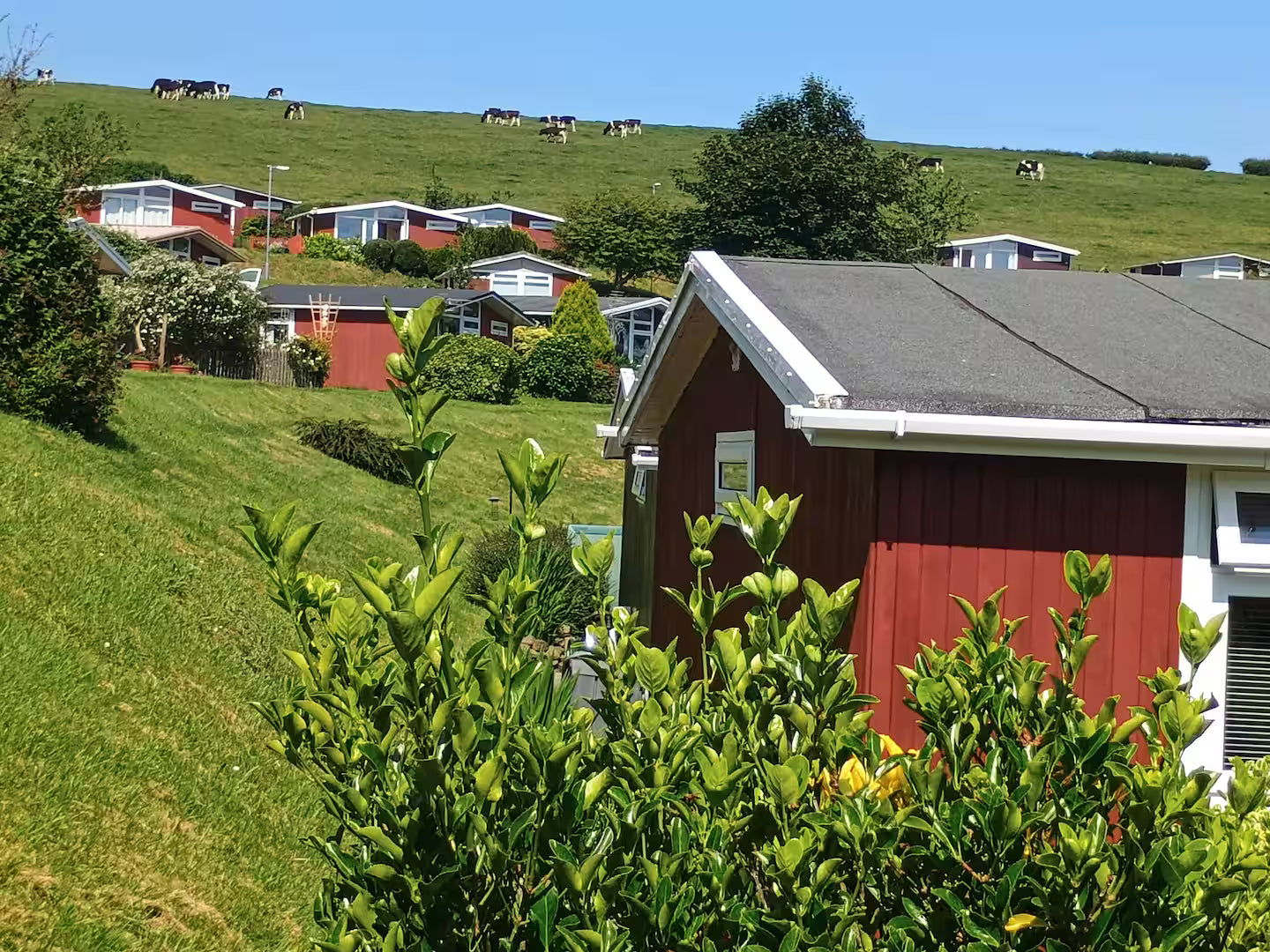 Residential course. 1 Night mini break - Bread making workshop