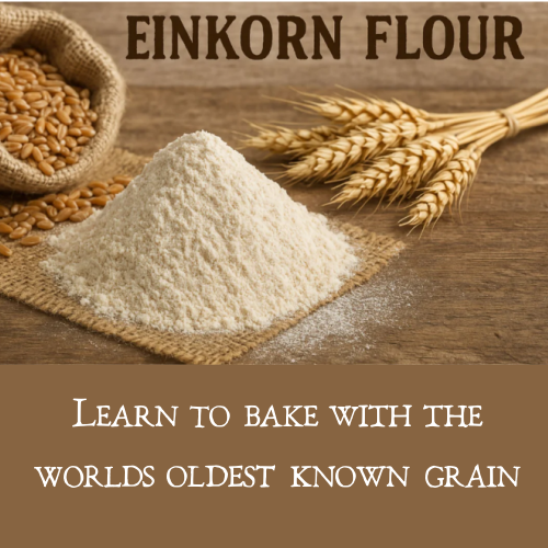 Baking Bread with organic Ancient Grains - Einkorn