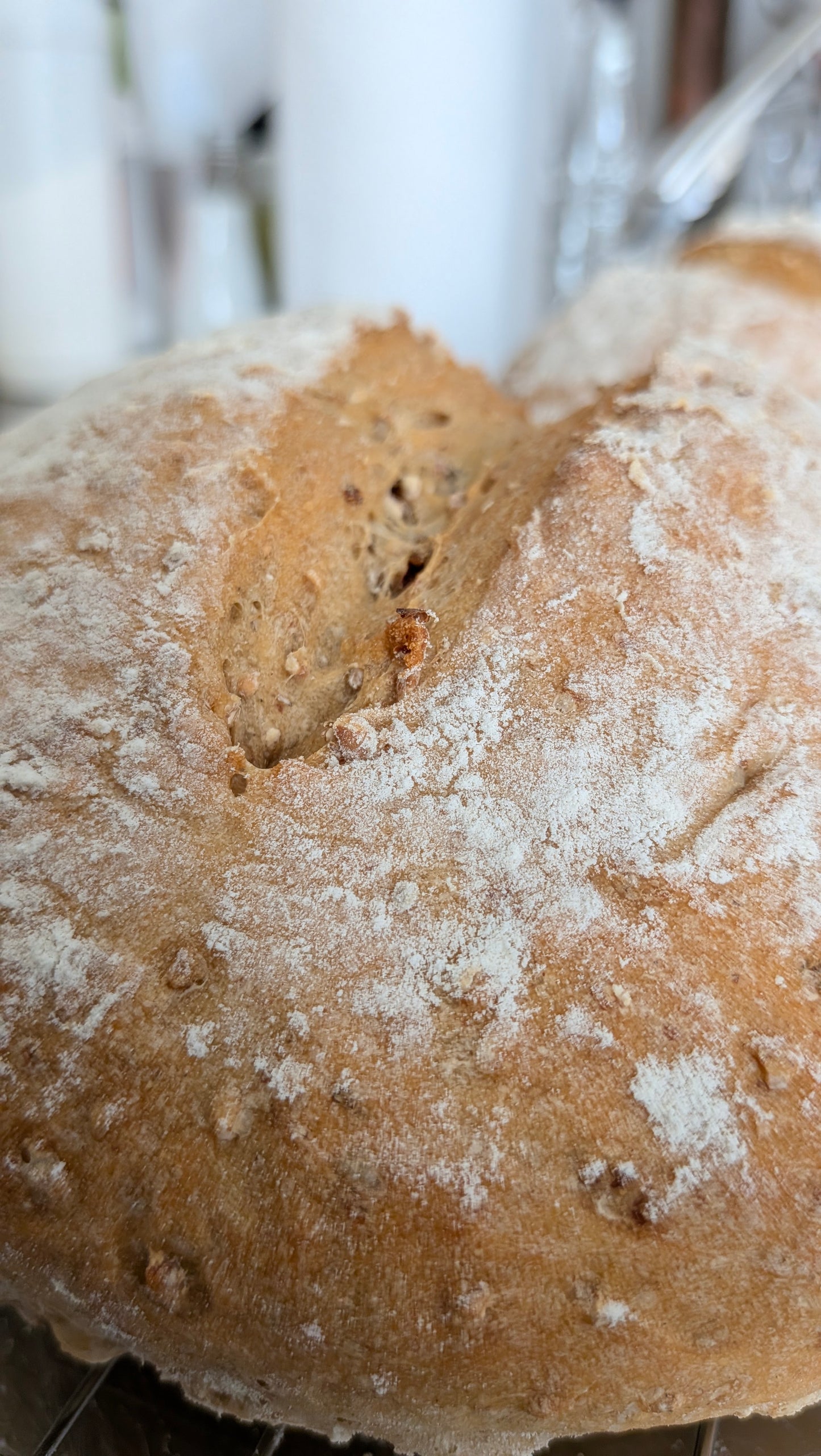 The complete bread workshop 3. FULL DAY