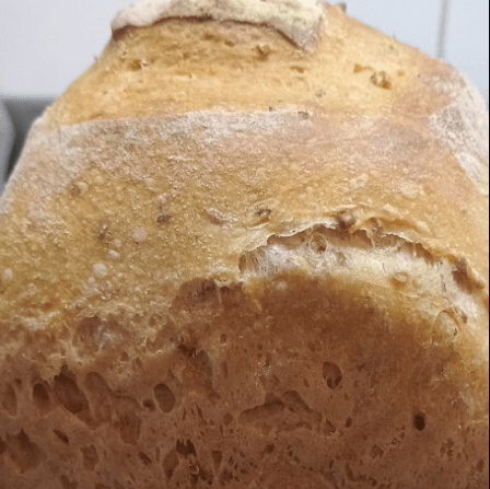An insight to sourdough, make & bake your own sourdough loaf - West Wales Bread Making Courses