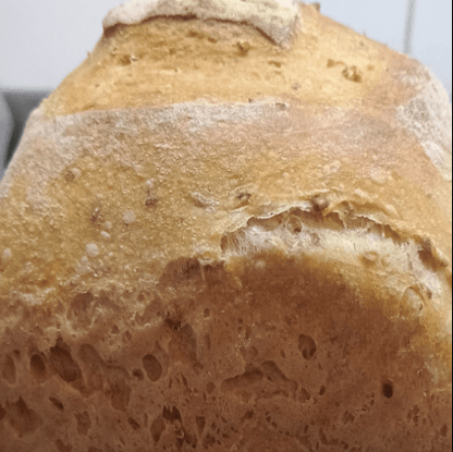 An insight to sourdough, make & bake your own sourdough loaf - West Wales Bread Making Courses Sourdough bread making class in West Wales