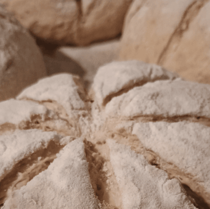 An insight to sourdough, make & bake your own sourdough loaf - West Wales Bread Making Courses Sourdough bread making class in West Wales