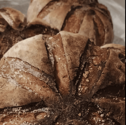 An insight to sourdough, make & bake your own sourdough loaf - West Wales Bread Making Courses Carmarthen