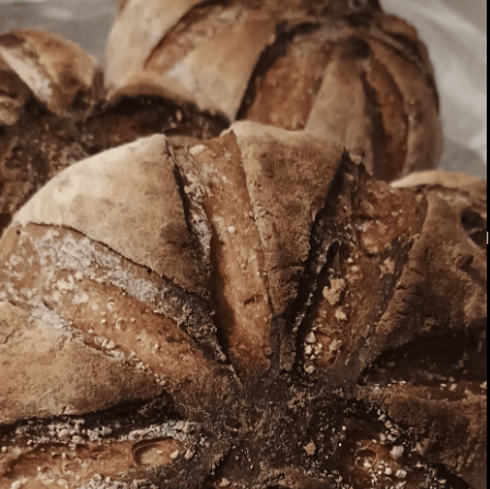 An insight to sourdough, make & bake your own sourdough loaf - West Wales Bread Making Courses