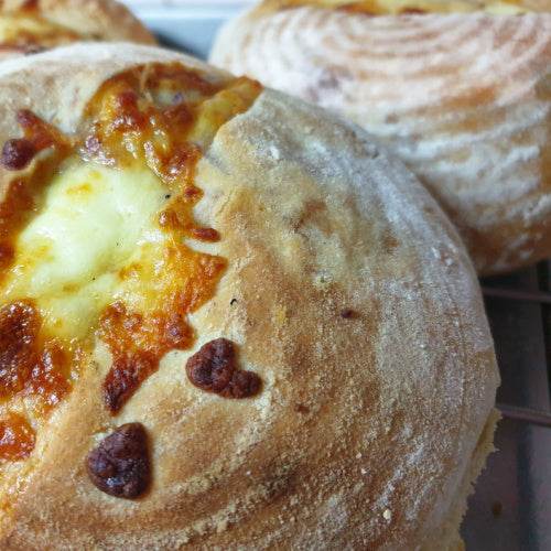 Enriched bread making workshop - West Wales Bread Making Courses