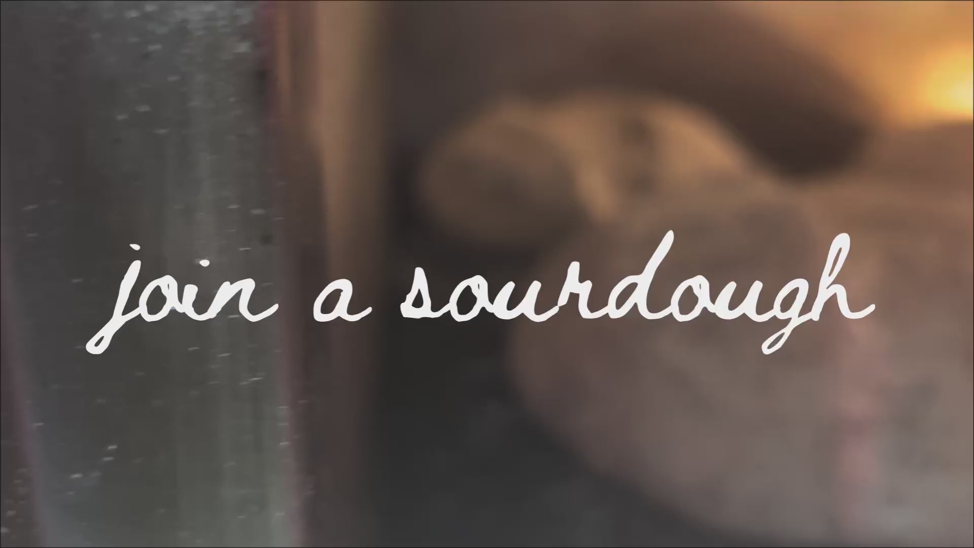 The complete bread workshop. FULL DAY