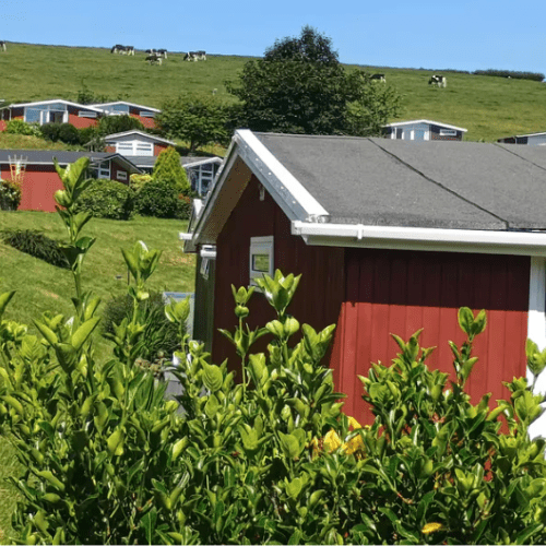 Residential course. 1 Night mini break & Bread making workshop for 2 people