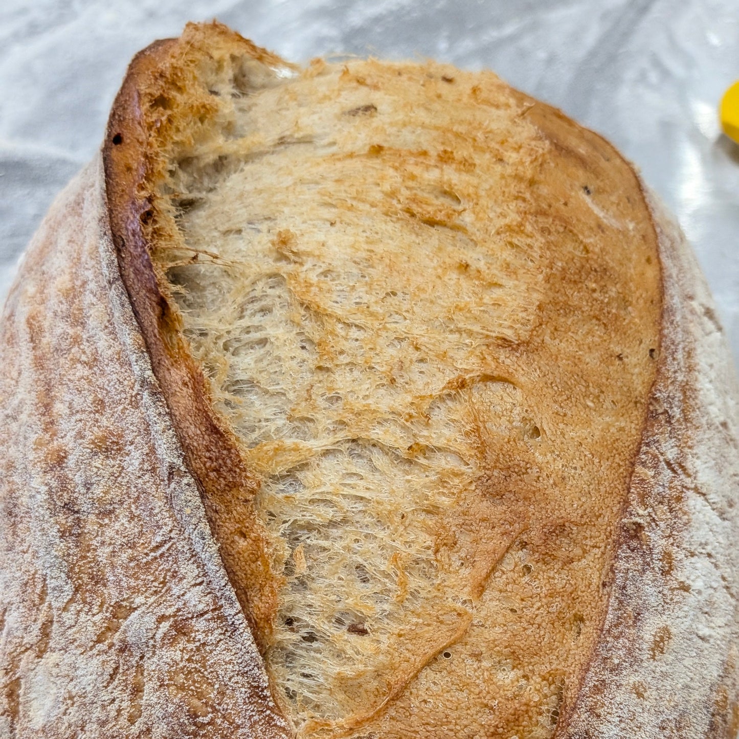 Sourdough for beginners
