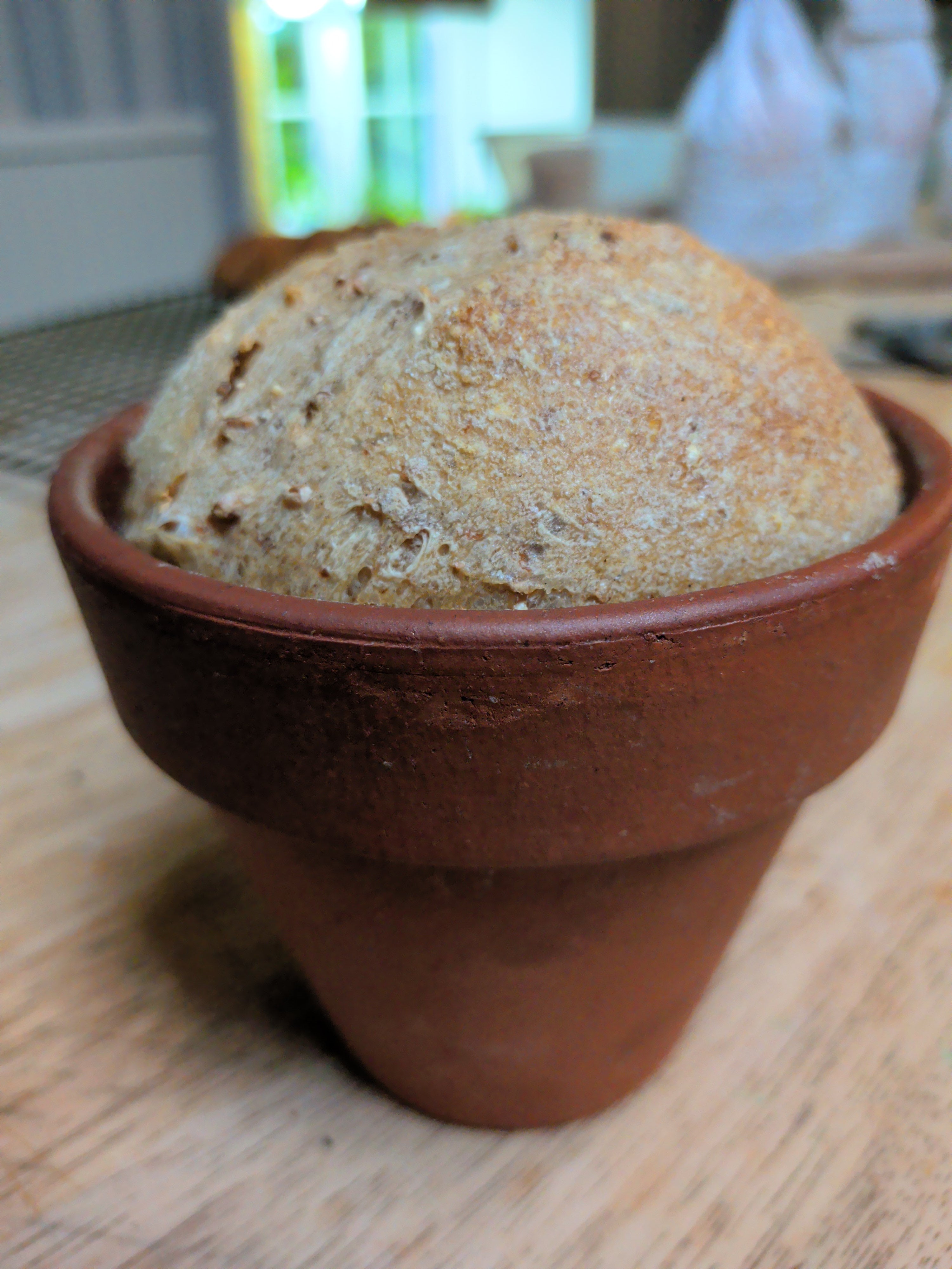 Sourdough bread for beginners.