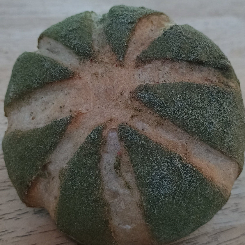 Children's Bread Making Workshop - Christmas Bauble Buns!