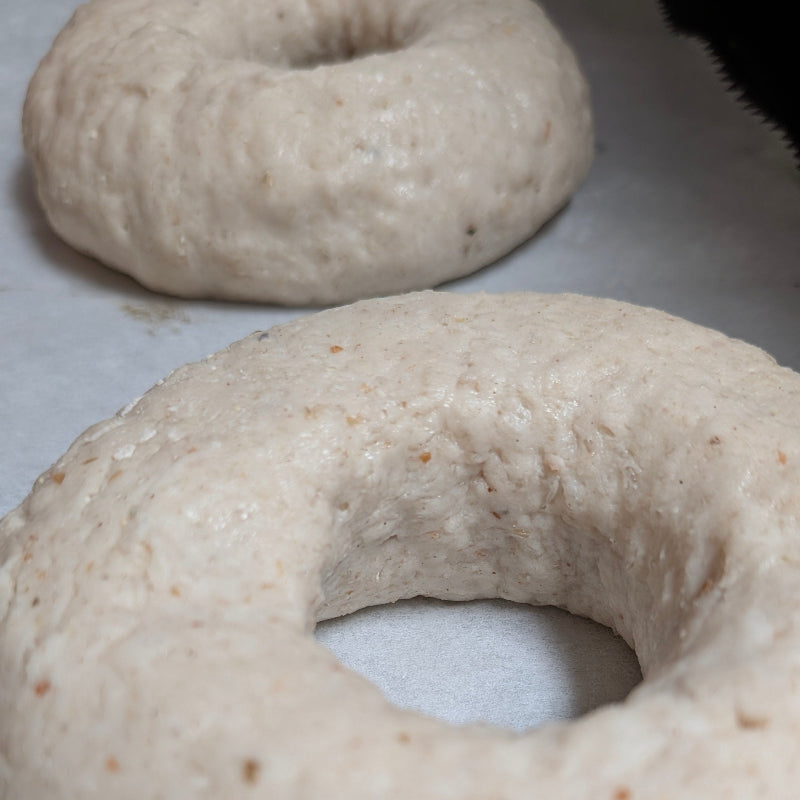 Just boiled Bagels about to go into the oven!! made by hand at Jamie the Baker in Llansteffan Carmarthenshire