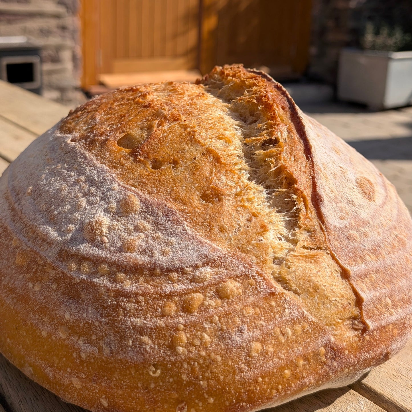 Sourdough for beginners